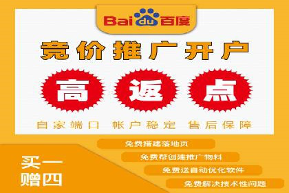 百度竞价代理技巧：经典成功案例解析